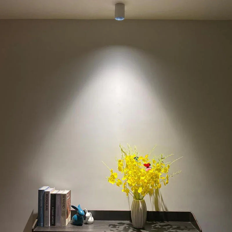 Aluminium LED Inbouwspot - Dimbaar en Energiezuinig