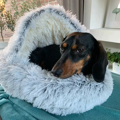 Honden Droombedje - Waar Dromen Met Een Zachte Staart Beginnen