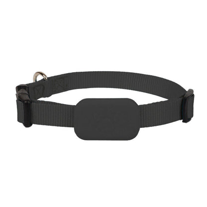 DierenTracker Mini – Slimme Hond en Kat Bluetooth Halsband Tracker
