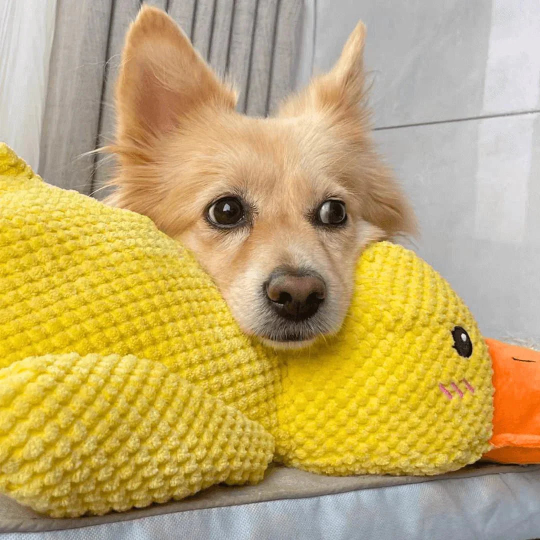 Interactief Honden Speeltje met Kwakgeluid – Vermindert Verveling, Stress en Overmatige Energie