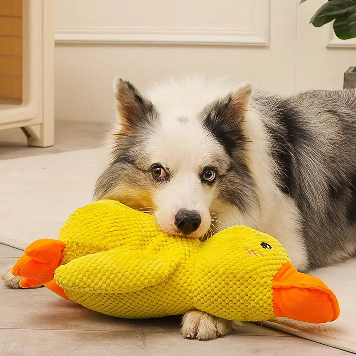 Interactief Honden Speeltje met Kwakgeluid – Vermindert Verveling, Stress en Overmatige Energie