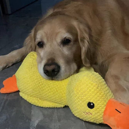 Interactief Honden Speeltje met Kwakgeluid – Vermindert Verveling, Stress en Overmatige Energie