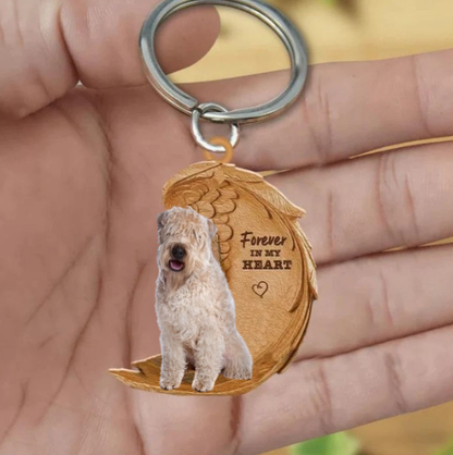 Irish soft coated wheaten terrier | Voor Altijd in Mijn Hart