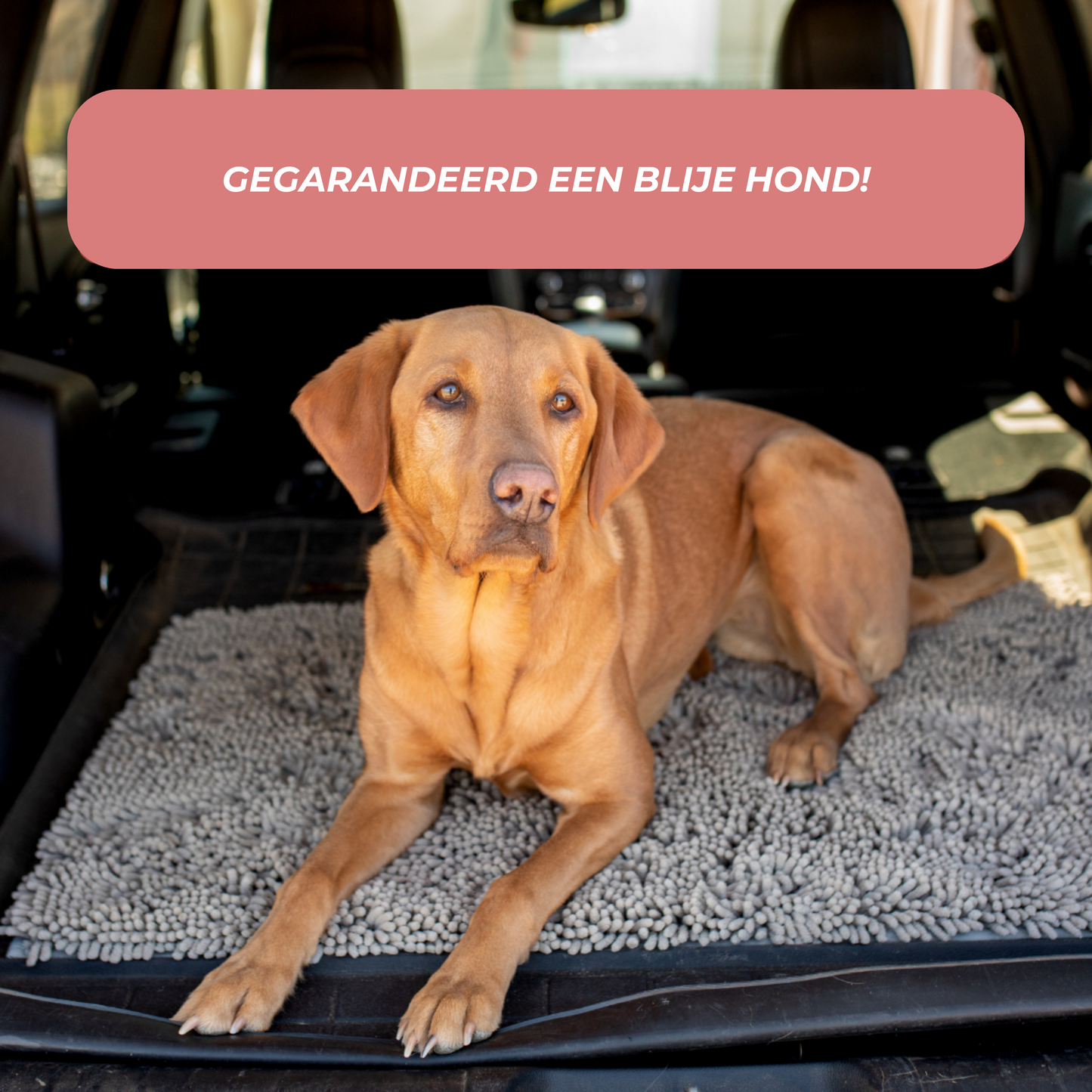 Joep Hondendeurmat – Superabsorberende Deurmat voor Vieze Poten