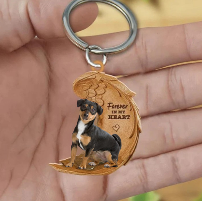 Jack Russel 3 | Voor Altijd in Mijn Hart