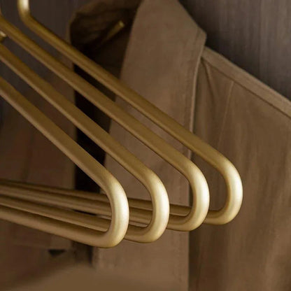 Metalen Kledinghangers Set van 5 met Slank en Ruimtebesparend Design