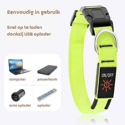 LED Hondenhalsband voor Veiligheid tijdens Avondwandelingen – Oplaadbaar en Verstelbaar
