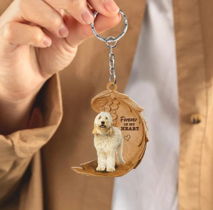Labradoodle | Voor Altijd in Mijn Hart