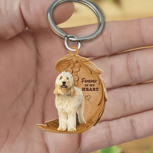 Labradoodle | Voor Altijd in Mijn Hart