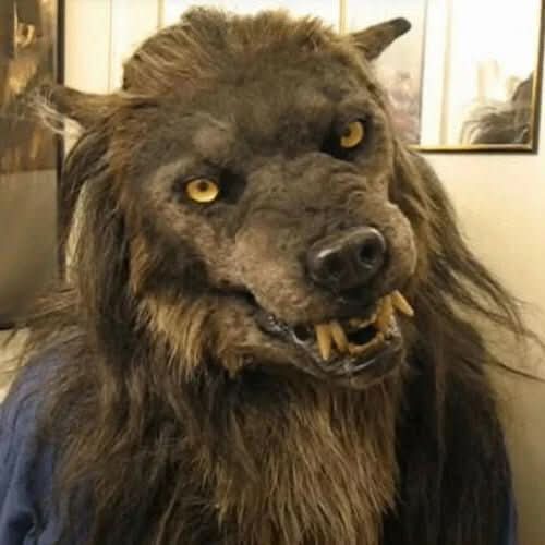 Realistische Weerwolf Gezichtsmasker voor Halloween en Cosplay
