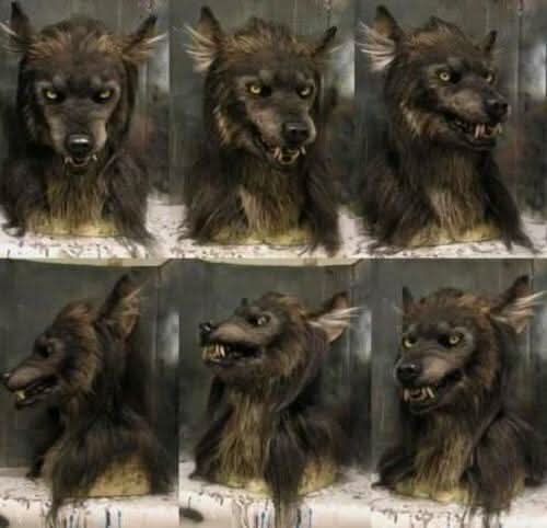 Realistische Weerwolf Gezichtsmasker voor Halloween en Cosplay
