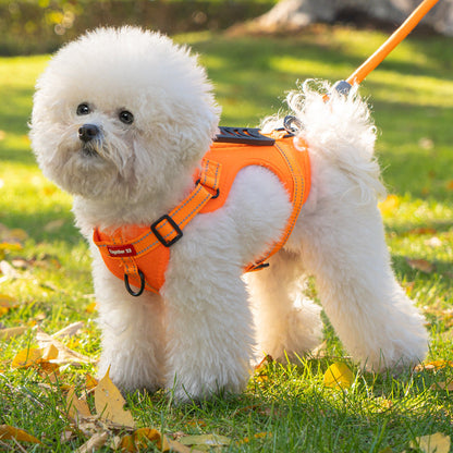 ComfortFit Hondentuigje met Reflectie en Schokdempende Leash