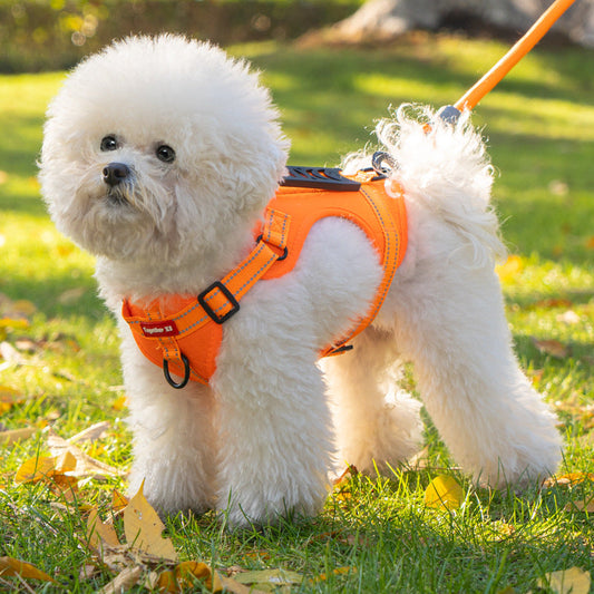 ComfortFit Hondentuigje met Reflectie en Schokdempende Leash
