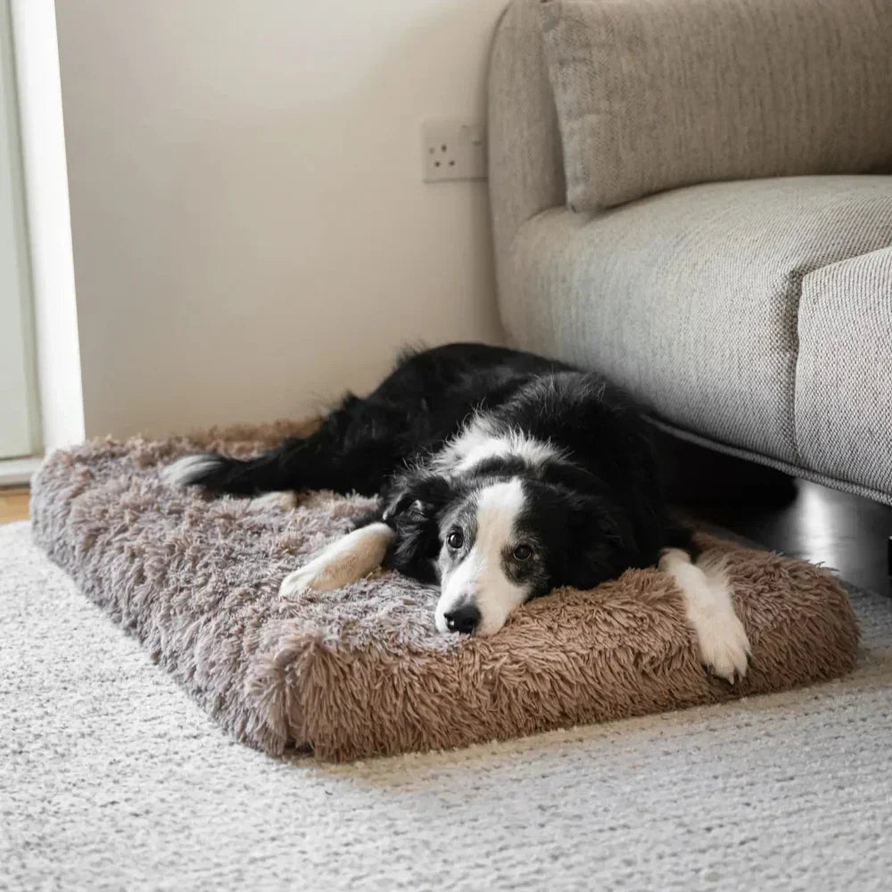 Ergonomisch Hondenbed met Memory Foam - Comfortabele Ondersteuning voor Jouw Hond