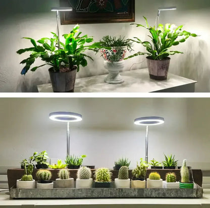 LumaGroei LED Plantenlamp met Timer en Dimbare Verlichting
