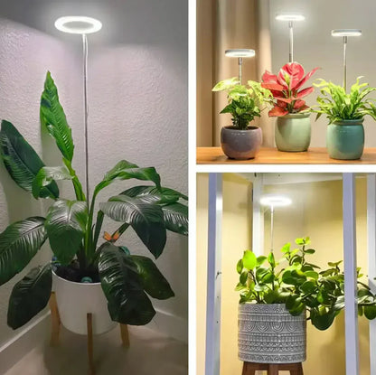 LumaGroei LED Plantenlamp met Timer en Dimbare Verlichting