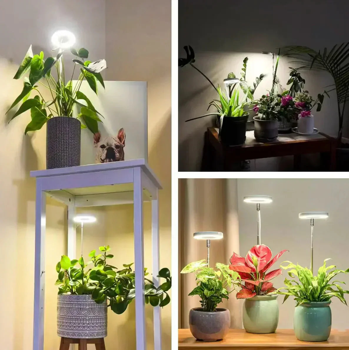 LumaGroei LED Plantenlamp met Timer en Dimbare Verlichting