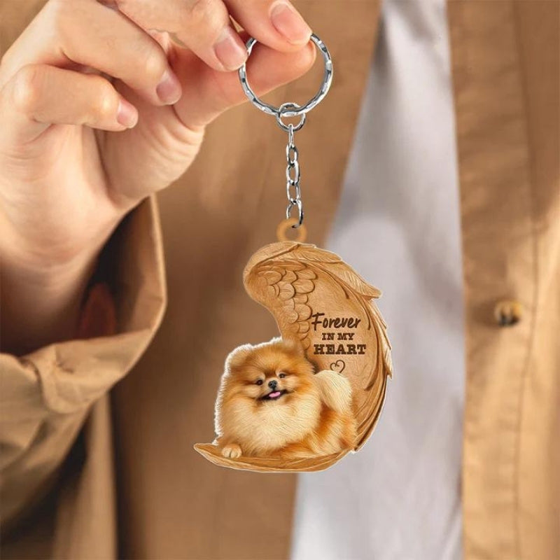 Pomeranian keeshond| Voor Altijd in Mijn Hart