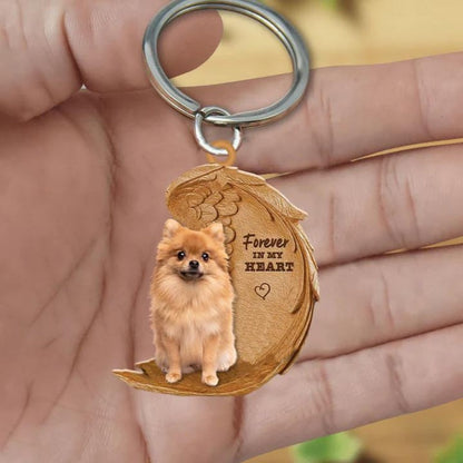 Pomeranian keeshond | Voor Altijd in Mijn Hart
