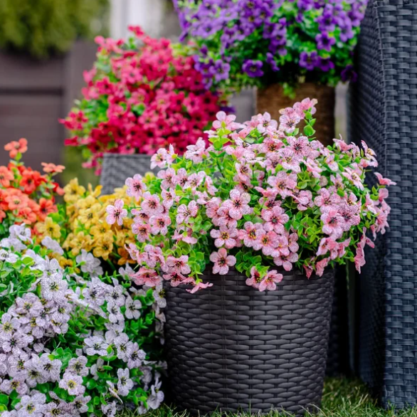 Prachtige Bloemen voor buiten - (1+1 GRATIS)