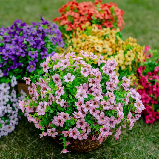 Prachtige Bloemen voor buiten - (1+1 GRATIS)