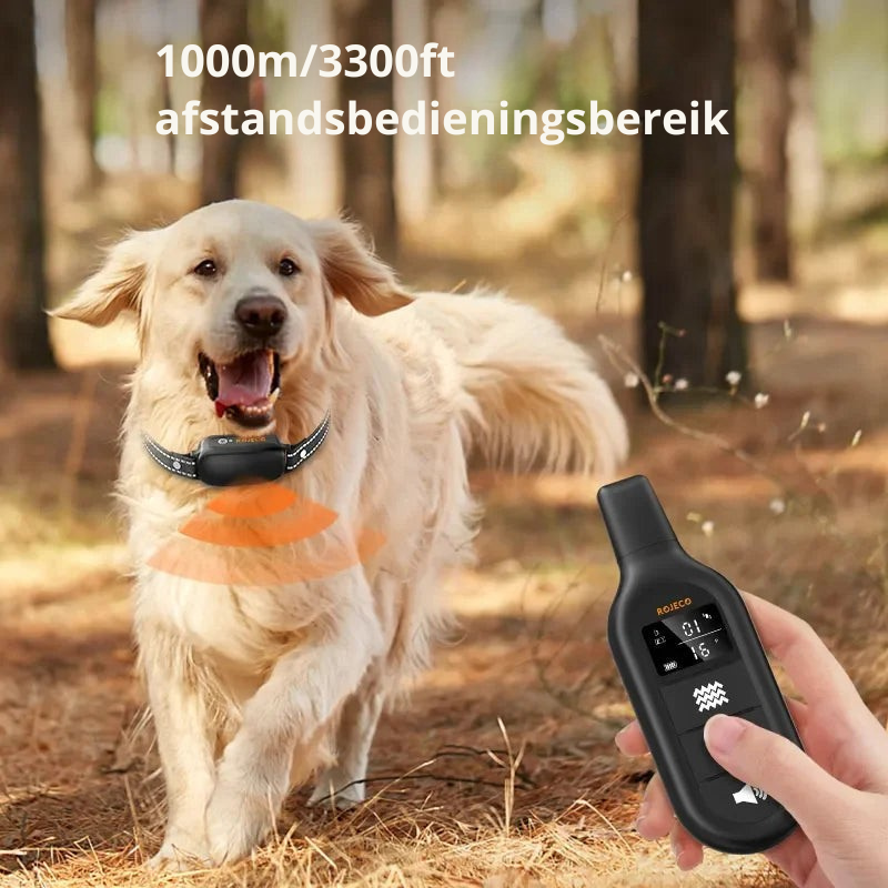 Hondwijs Collare da Addestramento Ricaricabile con Telecomando e Design Impermeabile