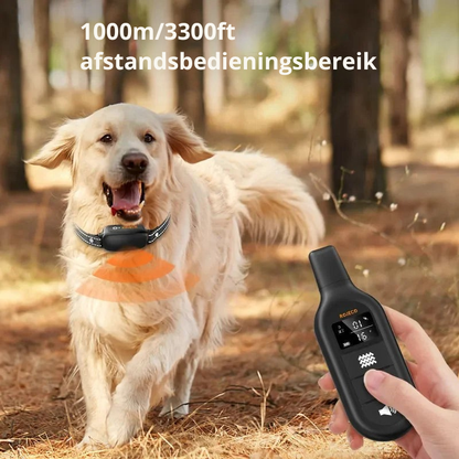 Hondwijs Collare da Addestramento Ricaricabile con Telecomando e Design Impermeabile