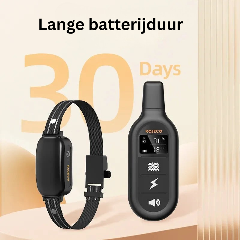 Hondwijs Collare da Addestramento Ricaricabile con Telecomando e Design Impermeabile