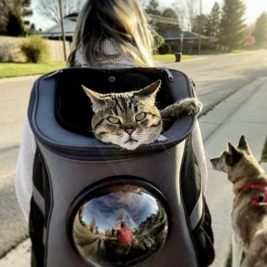 PurrVenture Rugzak – Draagbare Huisdierdrager voor Katten en Kleine Huisdieren