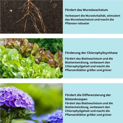 RootFuel | Organische Meststof Tabletten voor Gezonde Plantengroei & Sterke Wortels