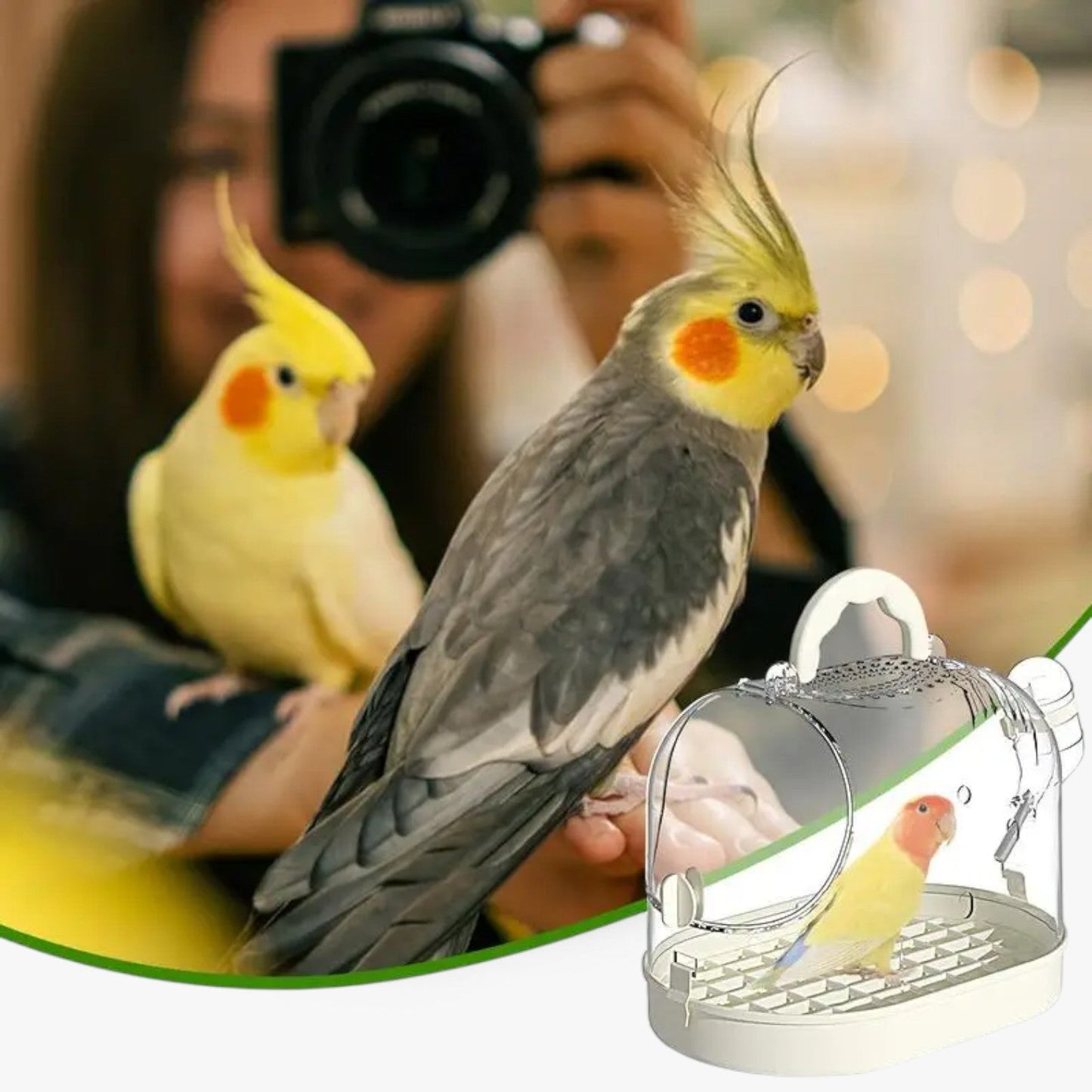 Luchtige Draagkooi "Vederlicht" voor Kleine Huisdieren en Vogels