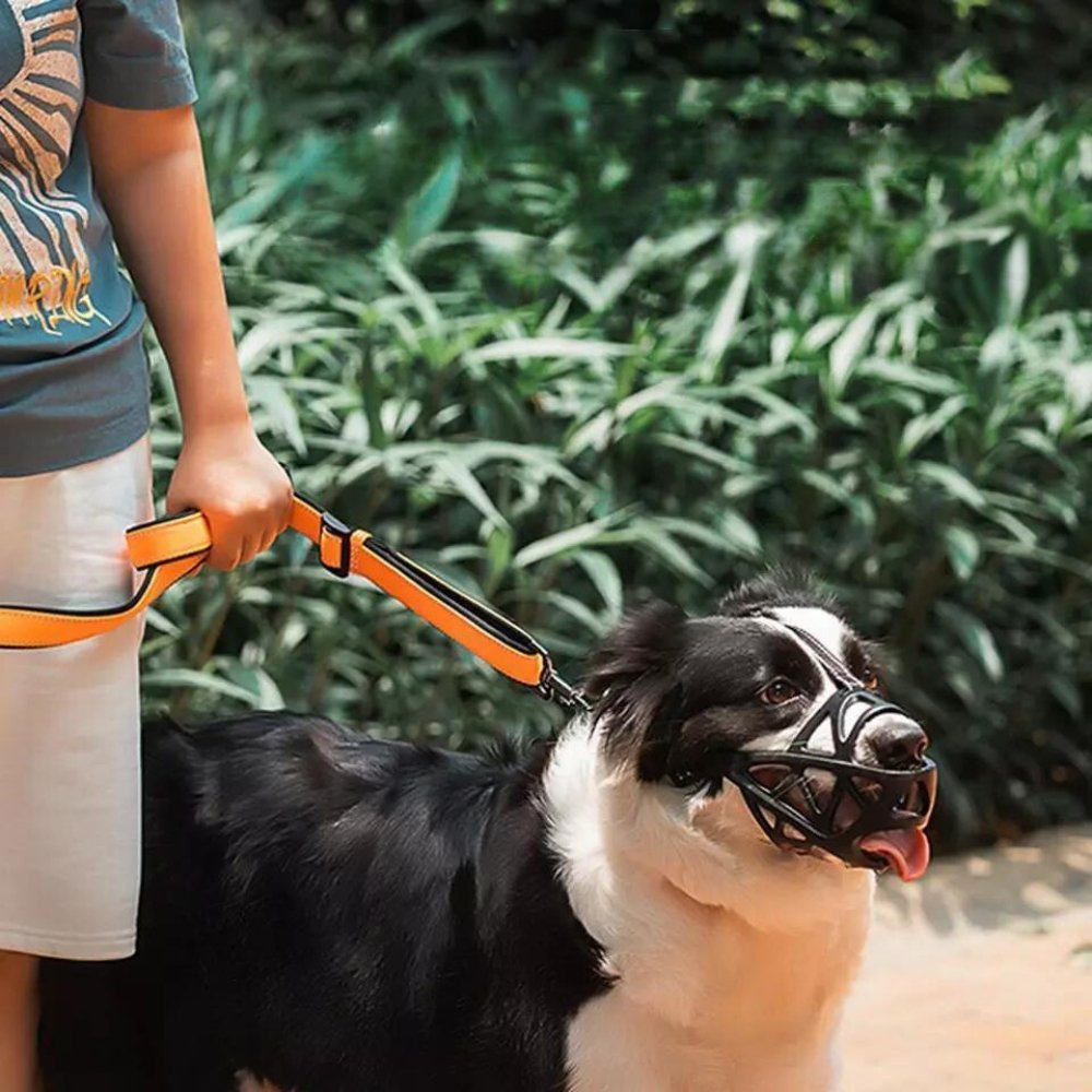 SafeBark Hondenmuilkorf – Effectieve Anti-Bijt en Anti-Blaf Oplossing, Ademend en Comfortabel