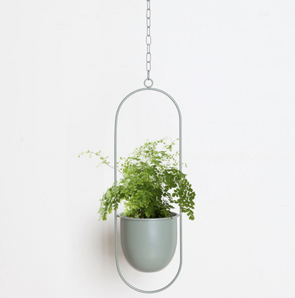FloraFrame – Elegante Metalen Plantenhouder voor aan Muur of Plafond