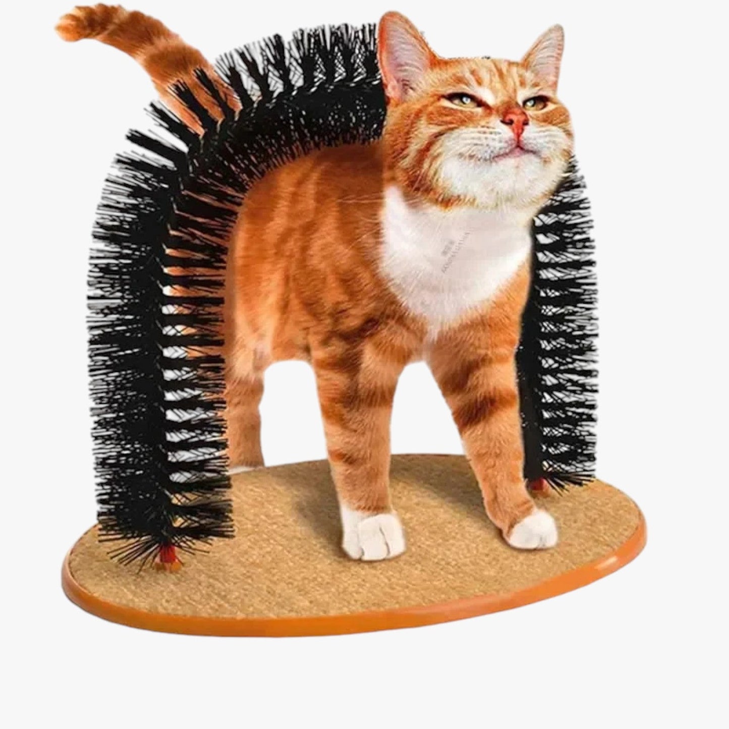 Kattenverzorgingsboog "Spinkrul" met Krabmat en Massagefunctie