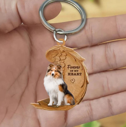 Sheltie | Voor Altijd in Mijn Hart