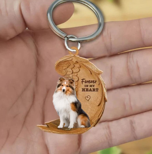 Sheltie | Voor Altijd in Mijn Hart