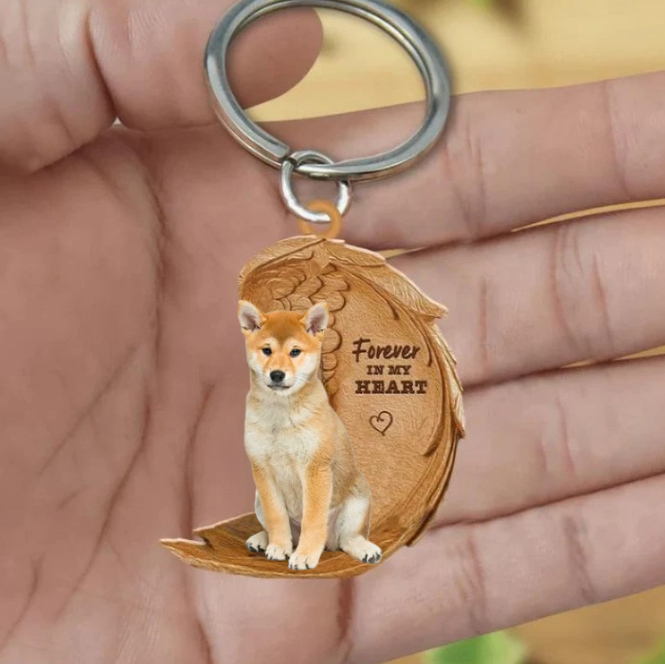 Shiba Inu| Voor Altijd in Mijn Hart