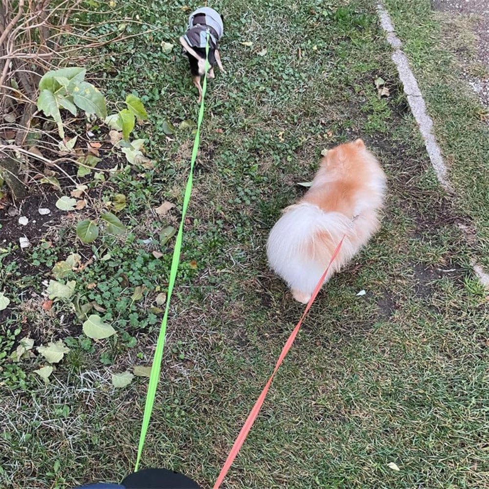 TangleFree Dubbele Hondenriem – Verstrikkingsvrije Riem voor Gemakkelijk Wandelen met Twee Honden