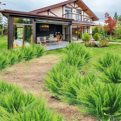 EverGreen Bostonvaren – Kunstplant met UV-bescherming en Weerbestendig Ontwerp