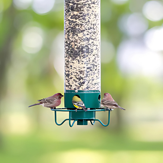 SlimVogel Eekhoornbestendige Vogelfeeder – Duurzaam & Vogelvriendelijk