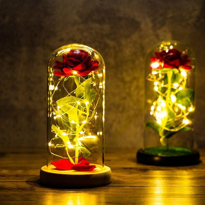 LiefdesGloed Eeuwige Roos Onder Stolp Met LED Moederdag Cadeau