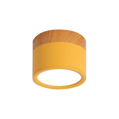 VibrantGlow - Kleine Plafondlamp in Stijl