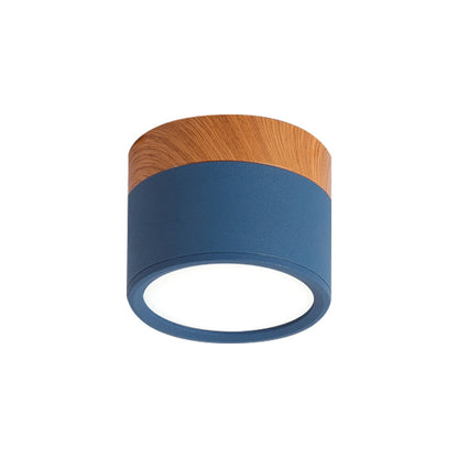 VibrantGlow - Kleine Plafondlamp in Stijl