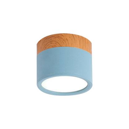 VibrantGlow - Kleine Plafondlamp in Stijl