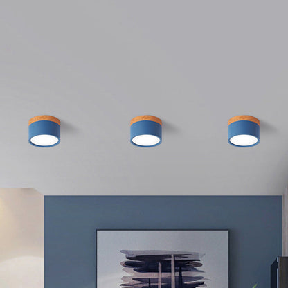 VibrantGlow - Kleine Plafondlamp in Stijl
