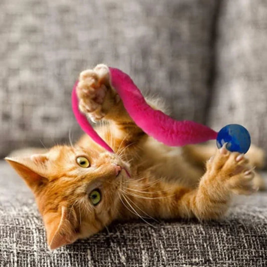 Wobbelbal voor Kat