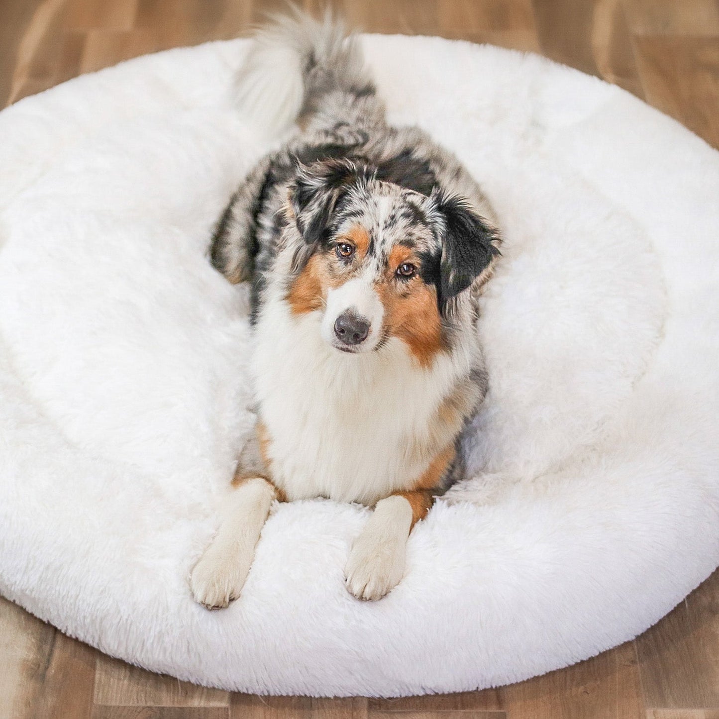 FluffyNest Comfort Hondenbed – Orthopedisch Pluche Ligkussen voor Honden