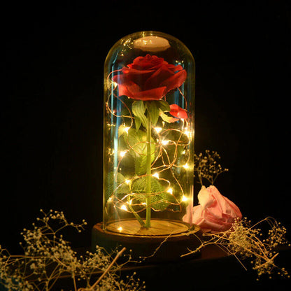 LiefdesGloed Eeuwige Roos Onder Stolp Met LED Moederdag Cadeau