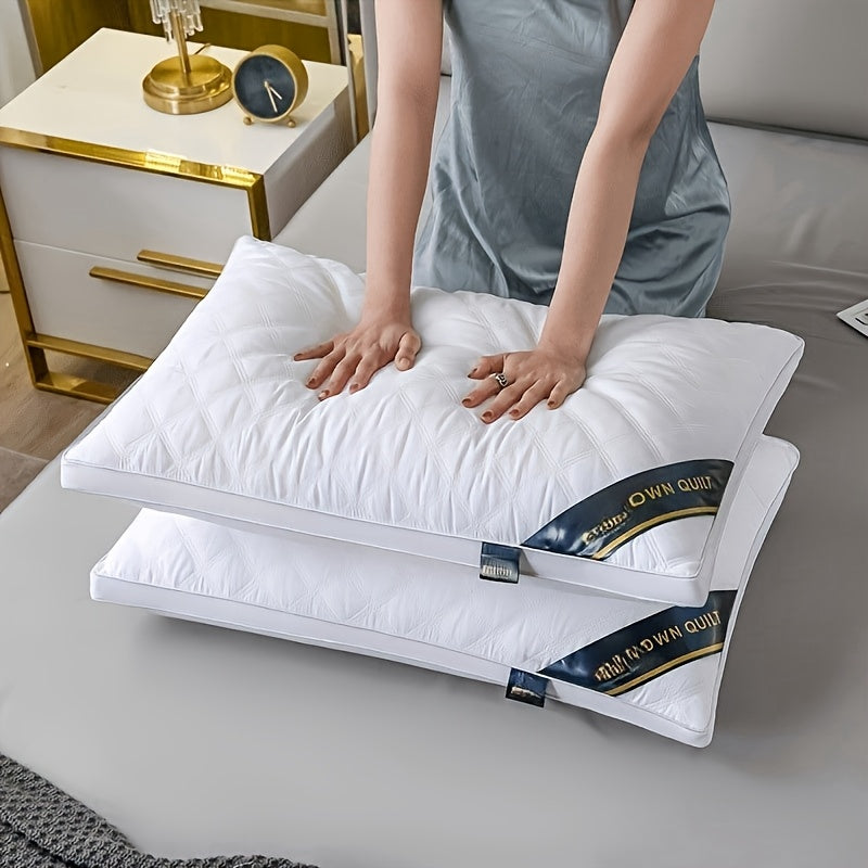 Comfort Set voor Slaap - 2 Hypoallergene 3D Kussens voor een Hotelkwaliteit Slaap