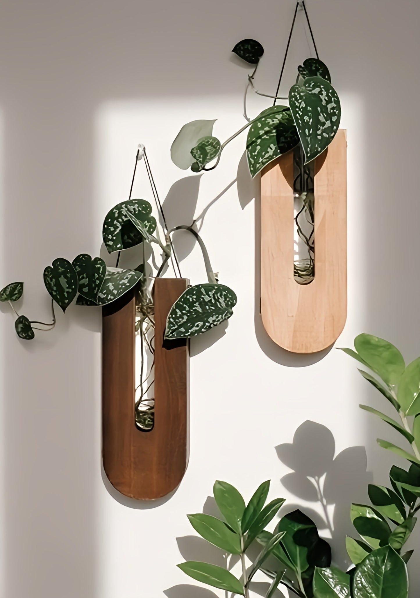 Houten Wandplantenhouder Set voor Kamerplanten en Decoratie